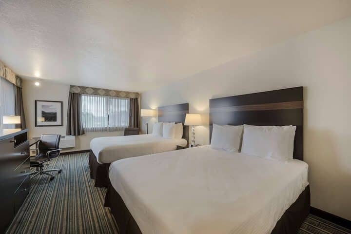 Room 17 of 40